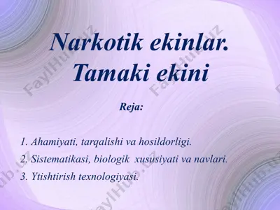 narkotik ekinlar. tamaki ekini — PPTX