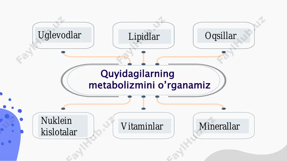 idagi roli • jigar • yogʻ toʻqimasi • skelet muskuli • yurak muskuli • miya ▫ jigar  asosiy vazifalari: • turli holatlarda glukoza miqdorining doimiyligini saqlash • yogʻ kislota oksidlanishi ortganda keton tanachalar sintezi  bu rollarni quyidagicha bajaradi: • ovqatlangandan soʻng portal qonda glukoza ↑ • glukoza → glikogen • ortiqcha glukoza → atsetil-koa → yogʻ kislota (+glitserol) → triglitserid → vldl (zjpl) • ovqatdan soʻng ajralgan insulin glikogen va yogʻ kislota sintezini orttiradi ▫ jigar • toʻqlik payti jigar oʻz energiyasini ortiqcha aminokislotalar oksidlanishidan oladi • ochlik vaqti glukoza qonda ↓ → glukagon ↑ → jigarda glikogenoliz ↑ va glukoneogenez ↑ → qonda glukoza ↑ • ovqatlangandan keyin insulin ↑ → glukoza yogʻ toʻqimasiga kiradi • insulin yogʻ toʻqimasi kapillyarlarida joylashgan lipoprotein lipazani aktivlab xilomikronlar va zjpl (vldl)dan erkin yogʻ kislotalarining ajralishini stimullaydi • erkin yogʻ kislotasi yogʻ toʻqimasiga kirib, tg shaklida zaxiralanadi • tg sintezi uchun …