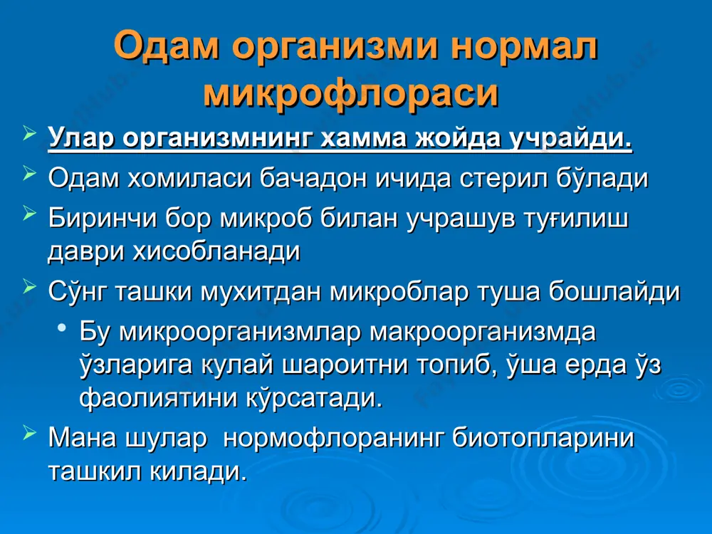фузобактериялар пептококклар спирохеталар лактобактериялар замбуруғлар оғиз бўшлиғи микрофлорасининг ахамияти - антагонистик - витаминлар ишлаб чикаради - овкат колдикларидан тозалайди 7.қизилўнгач микрофлораси ўзининг асосий микрофлораси йўқ. тушган микроорганизмлар хам сўлак ва сув билан тезда ювилиб кетади аммо баъзи бир касалликларда микроорганизмлар кўпаяди 8.ошқозон микрофлораси унга кўп микроорганизм тушади. аммо ошқозонда мухит нордон (4,0 - 5,0) шунинг учун соғлом одамда микроорганизм кам бўлади. шунга карамай 30 га яқин микроорганизмлар бу ерда яшашга мослашиб олган: замбуруғлар лактобактериялар бифидобактериялар энтерококклар helicobakterii овқат хазм қилиш тракти микрофлораси ичак микрофлораси 9.ингичка ичак 12 бармоқли ичакда микроорганизм янада кам, чунки у ерга ўт суюқлиги тушиб туради. лекин бу ерда хам баъзи бактериялар яшайди: лактобактериялар замбуруғлар энтерококклар кандидалар стрептококклар 12 бармоқли ичакдан узоқлашган сари микроблар сони ортиб боради. 10.йўғон ичак микрофлораси бифидобактерия бактероид лактобактерия пептострептококк клостридиялар эшерихия стафилококклар стрептококклар замбуруглар протей спирохеталар 500 хил микроб ва 1 гр нажасда = 1014 кое булардан : 95% 3-5% нормал микрофлоранинг …