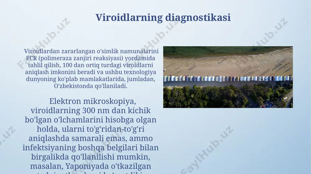viroidlar va ularning axamiyati - Page 3