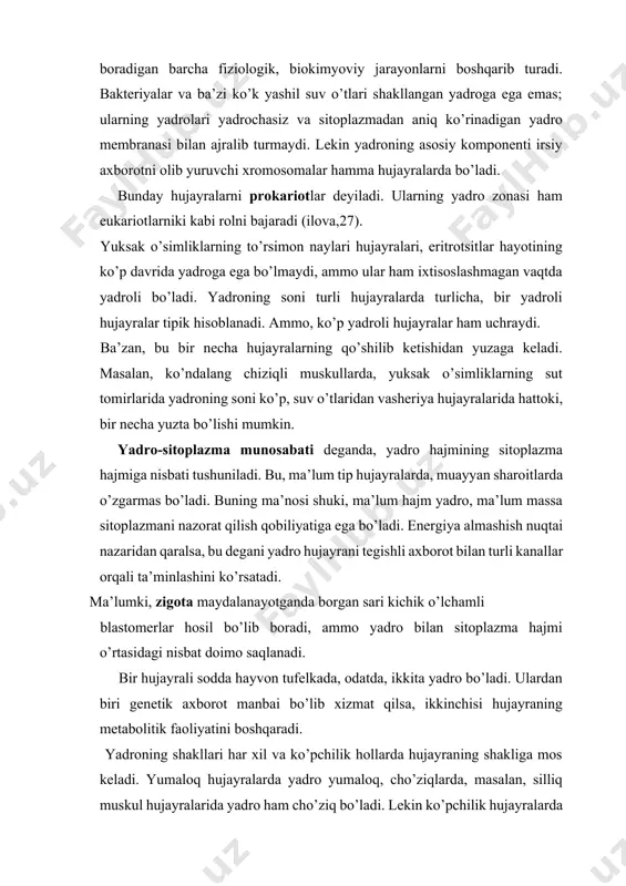 yralarning qo’shilib ketishidan yuzaga keladi. masalan, ko’ndalang chiziqli muskullarda, yuksak o’simliklarning sut tomirlarida yadroning soni ko’p, suv o’tlaridan vasheriya hujayralarida hattoki, bir necha yuzta bo’lishi mumkin. yadro-sitoplazma munosabati deganda, yadro hajmining sitoplazma hajmiga nisbati tushuniladi. bu, ma’lum tip hujayralarda, muayyan sharoitlarda o’zgarmas bo’ladi. buning ma’nosi shuki, ma’lum hajm yadro, ma’lum massa sitoplazmani nazorat qilish qobiliyatiga ega bo’ladi. energiya almashish nuqtai nazaridan qaralsa, bu degani yadro hujayrani tegishli axborot bilan turli kanallar orqali ta’minlashini ko’rsatadi. ma’lumki, zigota maydalanayotganda borgan sari kichik o’lchamli blastomerlar hosil bo’lib boradi, ammo yadro bilan sitoplazma hajmi o’rtasidagi nisbat doimo saqlanadi. bir hujayrali sodda hayvon tufelkada, odatda, ikkita yadro bo’ladi. ulardan biri genetik axborot manbai bo’lib xizmat qilsa, ikkinchisi hujayraning metabolitik faoliyatini boshqaradi. yadroning shakllari har xil va ko’pchilik hollarda hujayraning shakliga mos keladi. yumaloq hujayralarda yadro yumaloq, cho’ziqlarda, masalan, silliq muskul hujayralarida yadro ham cho’ziq bo’ladi. lekin ko’pchilik hujayralarda yadroning shakli hujayra shakliga mos kelmaydi. masalan, …