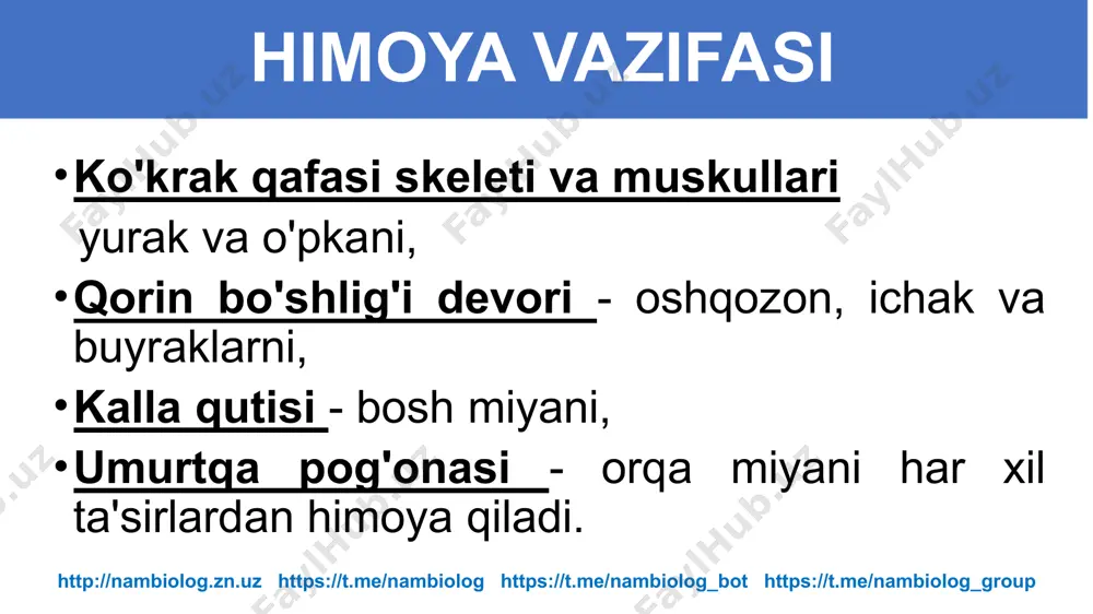 tayanch-harakatlanish sistemasining tuzilishi, funksiyasi va ahamiyati - Page 3