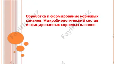 обработка и формирование корневых каналов — PPTX