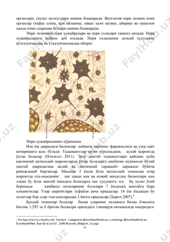 оилавий аҳволга боғлиқдир. бой оилалар фарзандлари эса ота- оналар билан муносабати этиборнинг камлиги туфайли уларнинг ақлий ривожланишига таъсири кузатилади. 120 ойлик тэкширувлар ашуни кўрсатдики бой оилалар фарзандларига қараганда камбағал оилалар фарзандлари кучли ҳиссий натижа кўрсатдилар.6 рефлекс - нерв фаолиятининг асосий шакли сифатида. рефлекс тушунчаси. рефлектор актлари нерв фаолиятининг асосий шаклидир. рефлекс – организмнинг марказий нерв тизими томонидан амалга оширилувчи ва назорат қилинувчи, ташқи ва ички мухитдан бўлган қитиқлашларга жавоб рэакциясидир. нерв марказларидаги яна бир ҳусусият доминанта ҳусусияти бўлиб, буни биринчи бўлиб 1923 йилда а.а.ухтомский ҳисобланган. муайян пайтда нерв марказларида устун тўрган қўзғалиш учогини а.а.ухтомский доминанта деб атаган. устун тўрган қўзғалиш учоги, бошқа марказларга келувчи қўзғалиш тўлқинларини ўзига жалб қилиб, шулар ҳисобига кучая олади. бу пайтда бошқа марказларда тормозланиш процесси бошланади. доминантанинг вужудган келишидаги муҳим шартлардан бири нерв ҳужайраларининг ўта қўзғалувчанлигидир. нерв тўқимаси марказий ва периферик нерв системасини ҳосил қилпб, бир-биридан бажарадиган вазифасига қараб кескин фарқ қилувчи икки хил ҳужаиралардан ташкнл …