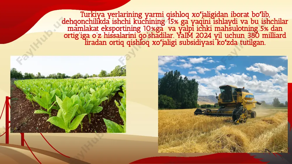 turkiya qishloq xo'jaligi - Page 5