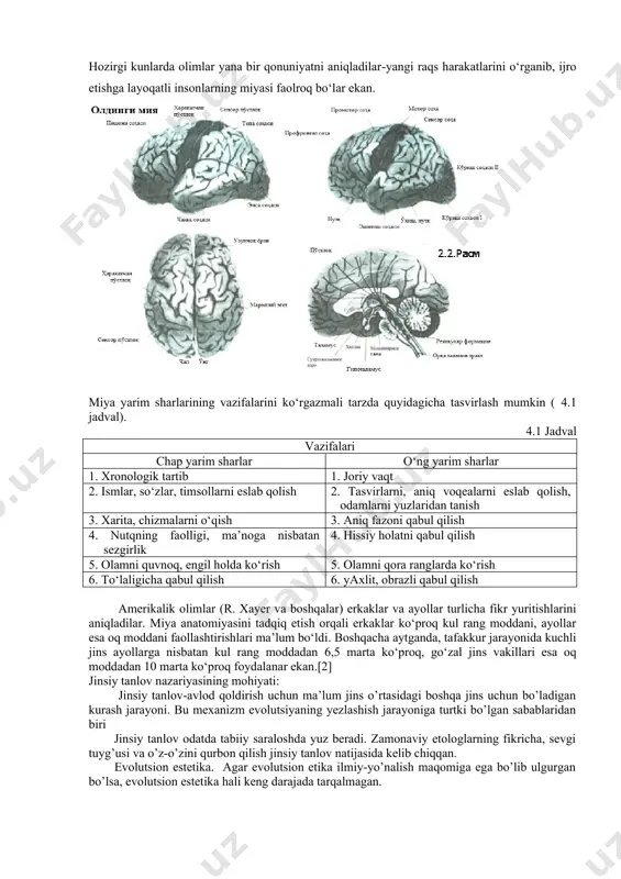 ish 5. olamni quvnoq, engil holda ko‘rish 5. olamni qora ranglarda ko‘rish 6. to‘laligicha qabul qilish 6. yaxlit, obrazli qabul qilish amerikalik olimlar (r. xayer va boshqalar) erkaklar va ayollar turlicha fikr yuritishlarini aniqladilar. miya anatomiyasini tadqiq etish orqali erkaklar ko‘proq kul rang moddani, ayollar esa oq moddani faollashtirishlari ma’lum bo‘ldi. boshqacha aytganda, tafakkur jarayonida kuchli jins ayollarga nisbatan kul rang moddadan 6,5 marta ko‘proq, go‘zal jins vakillari esa oq moddadan 10 marta ko‘proq foydalanar ekan.[2] jinsiy tanlov nazariyasining mohiyati: jinsiy tanlov-avlod qoldirish uchun ma’lum jins o’rtasidagi boshqa jins uchun bo’ladigan kurash jarayoni. bu mexanizm evolutsiyaning yezlashish jarayoniga turtki bo’lgan sabablaridan biri jinsiy tanlov odatda tabiiy saraloshda yuz beradi. zamonaviy etologlarning fikricha, sevgi tuyg’usi va o’z-o’zini qurbon qilish jinsiy tanlov natijasida kelib chiqqan. evolutsion estetika. agar evolutsion etika ilmiy-yo’nalish maqomiga ega bo’lib ulgurgan bo’lsa, evolutsion estetika hali keng darajada tarqalmagan. ong haqida tushuncha. ong psixik jarayonning eng yuqori darajasi hisoblanadi. …