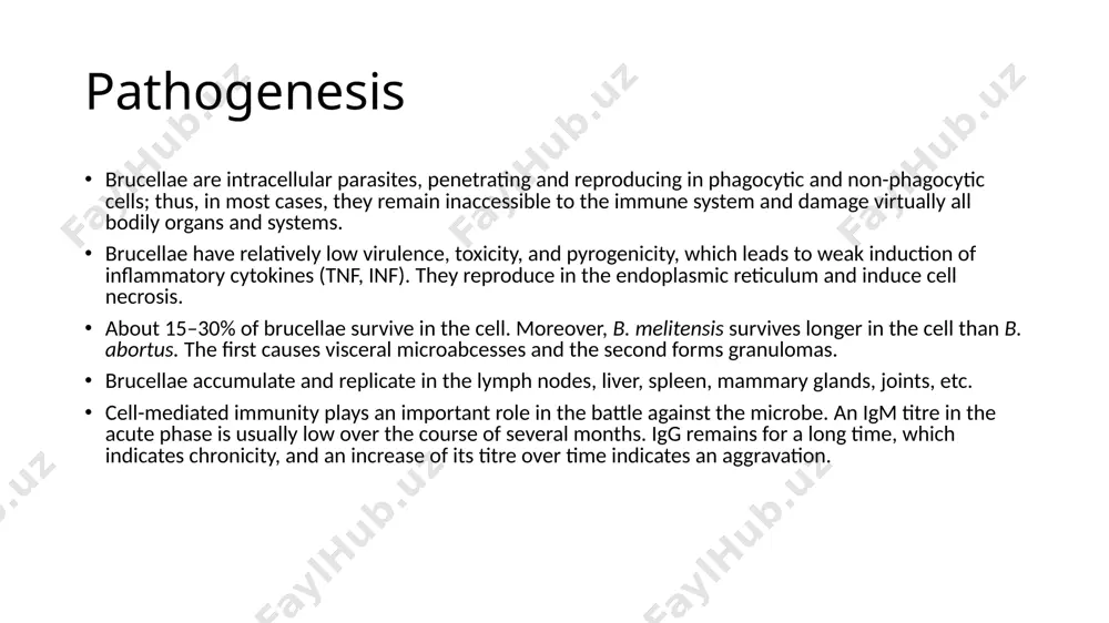 ues, and dispersion of specific granulomas. pathogenesis organs rich in reticuloendothelial tissue are the site of brucellosis replication. phagocytosis in neutrophils is incomplete. as a result of incomplete phagocytosis, phagocytes turn into a reservoir and replication site. pathogenesis the process by which the pathogen enters the bloodstream occurs repeatedly, caused by the particulars of the clinical presentation of acute brucellosis. multiple repetitions of brucellemia and toxemia leads to a change in the body’s reactivity and sensibilization, often hypersensibilization akin to a specific allergy. as a result of progressive allergization, there arises a background that gives rise to pathological changes in various tissues and organs due not only to specific agents, but also to non-specific ones. all types of allergic reactions are represented with brucellosis. the disease is characterized by polyallergy. initially the process is caused by infectious factors that eventually give way to autoallergic and paraallergic factors. pappas g et …
