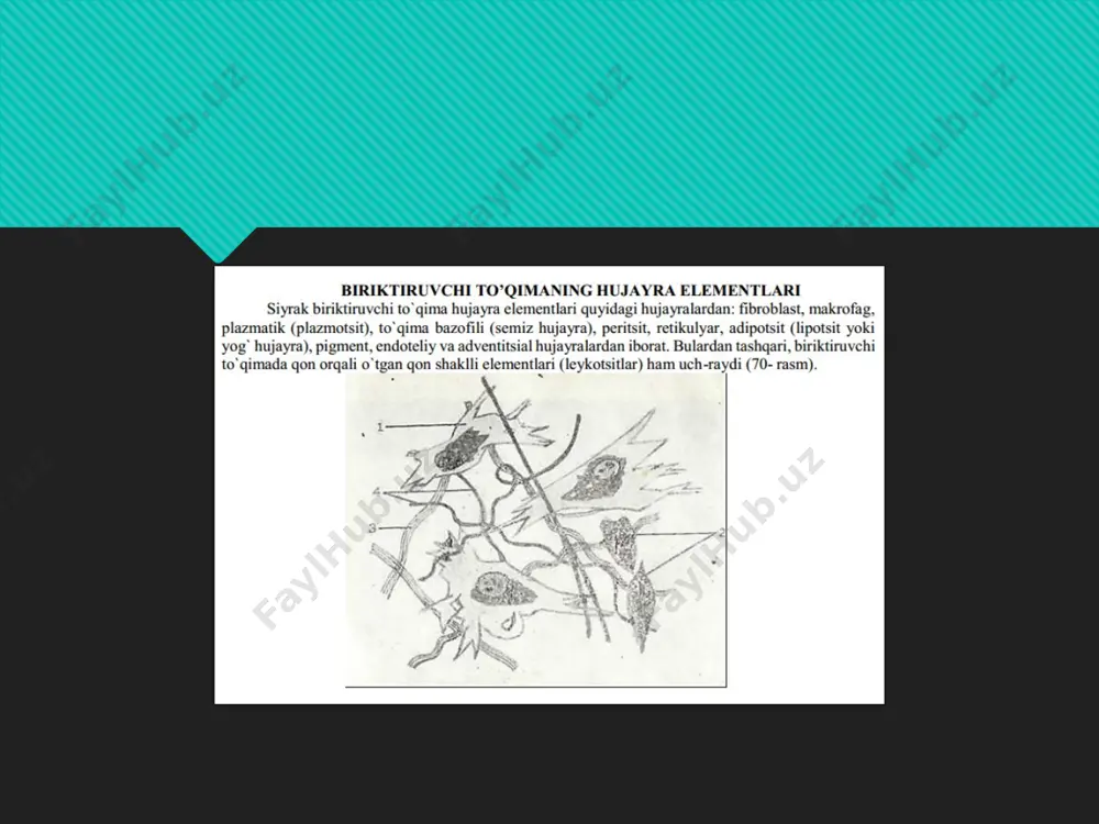 png image13.png image14.png image15.png image16.png image17.png image18.png image19.png /docprops/thumbnail.jpeg