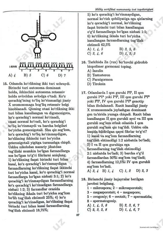 milly sertifikat namunaviy test topshiriglari - Page 3