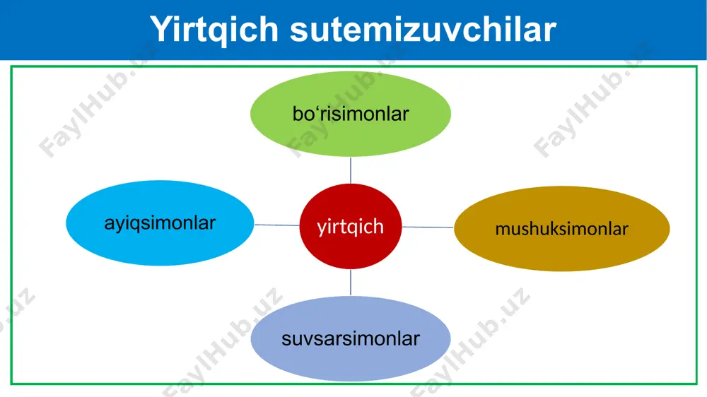 yirtqich sutemizuvchilar turkumi - Page 4