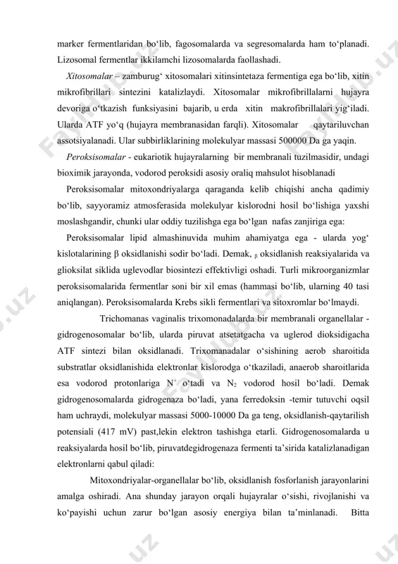 d dioksidigacha atf sintezi bilan oksidlanadi. trixomanadalar o‘sishining aerob sharoitida substratlar oksidlanishida elektronlar kislorodga o‘tkaziladi, anaerob sharoitlarida esa vodorod protonlariga n+ o‘tadi va n2 vodorod hosil bo‘ladi. demak gidrogenosomalarda gidrogenaza bo‘ladi, yana ferredoksin -temir tutuvchi oqsil ham uchraydi, molekulyar massasi 5000-10000 da ga teng, oksidlanish-qaytarilish potensiali (417 mv) past,lekin elektron tashishga etarli. gidrogenosomalarda u reaksiyalarda hosil bo‘lib, piruvatdegidrogenaza fermenti ta’sirida katalizlanadigan elektronlarni qabul qiladi: mitoxondriyalar-organellalar bo‘lib, oksidlanish fosforlanish jarayonlarini amalga oshiradi. ana shunday jarayon orqali hujayralar o‘sishi, rivojlanishi va ko‘payishi uchun zarur bo‘lgan asosiy energiya bilan ta’minlanadi. bitta hujayraga to‘g‘ri keladigan mitoxondriyalar soni bir nechtadan yuztagacha to‘g‘ri kelishi mumkin va bu almashinuv jarayonlarining intensivligiga bog‘liq. mitoxondriyalar matriksiga tushadigan moddalar krebs sikli reaksiyalarida oksidlanadi. bunda ajralgan elektronlar mitoxondriyalar ichki membranasida joylashgan elektronlar o‘tkazish zanjiriga o‘tkaziladi. mitoxondriyalar o‘z yadrosi va ribosomalariga ega, ularda oqsillar sintezlanishi mumkin. mitoxondriyalarda fermentlar bo‘lib, krebs sikli reaksiyalarini katalizlaydi. bunda bir molekula oksidlanuvchi glyukozaga 24 molekula atf hosil …