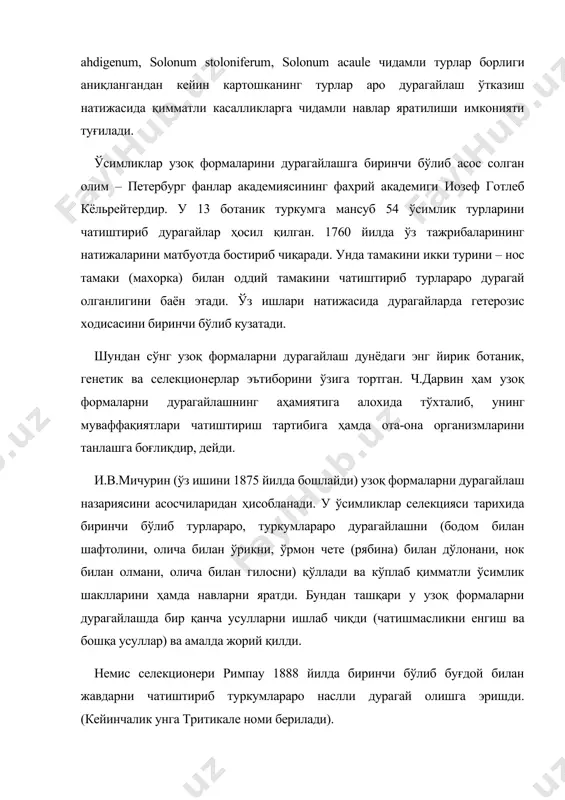 ашга боғлиқдир, дейди. и.в.мичурин (ўз ишини 1875 йилда бошлайди) узоқ формаларни дурагайлаш назариясини асосчиларидан ҳисобланади. у ўсимликлар селекцияси тарихида биринчи бўлиб турлараро, туркумлараро дурагайлашни (бодом билан шафтолини, олича билан ўрикни, ўрмон чете (рябина) билан дўлонани, нок билан олмани, олича билан гилосни) қўллади ва кўплаб қимматли ўсимлик шаклларини ҳамда навларни яратди. бундан ташқари у узоқ формаларни дурагайлашда бир қанча усулларни ишлаб чиқди (чатишмасликни енгиш ва бошқа усуллар) ва амалда жорий қилди. немис селекционери римпау 1888 йилда биринчи бўлиб буғдой билан жавдарни чатиштириб туркумлараро наслли дурагай олишга эришди. (кейинчалик унга тритикале номи берилади). генетик олим г.д.карпеченко (1924 й.) турф билан карамни, а.и.державин қаттиқ буғдой билан кўп йиллик жавдарни чатиштириб наслли дурагай олишга эришди. н.в.цицин 1928 йилда ишини бошлаб, биринчи бўлиб буғдой билан буғдойиқни чатиштириб туркумлараро дурагай ҳосил қилади ва уларни номини буғдой-буғдойиқ дурагайи (ппг-пшенично-пирейный гибрид) деб атайди. с.м.букасов ва с.в.юзенчукларнинг 1925-1929 йилларда марказий ва жанубий америкага қилган экспедициялари туфайли картошканинг туганагида 25% …