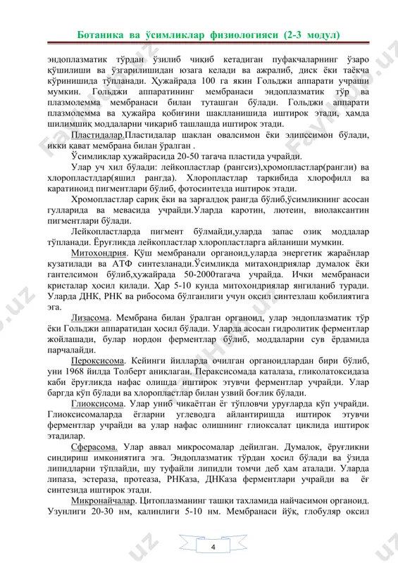 лашади. рибосома ядрода, хлоропластлар ва митохондрийларда учрайди ва оқсил синтезлайди. гольджи аппарати. мембрана билан ўралган цистерналар тўплами. улар эндоплазматик тўрдан ўзилиб чиқиб кетадиган пуфакчаларнинг ўзаро қўшилиши ва ўзгарилишидан юзага келади ва ажралиб, диск ёки таёкча кўринишида тўпланади. ҳужайрада 100 га якин гольджи аппарати учраши мумкин. гольджи аппаратининг мембранаси эндоплазматик тўр ва плазмолемма мембранаси билан туташган бўлади. гольджи аппарати плазмолемма ва ҳужайра қобиғини шаклланишида иштирок этади, ҳамда шилимшиқ моддаларни чиқариб ташлашда иштирок этади. пластидалар.пластидалар шаклан овалсимон ёки элипссимон бўлади, икки қават мембрана билан ўралган . ўсимликлар ҳужайрасида 20-50 тагача пластида учрайди. улар уч хил бўлади: лейкопластлар (рангсиз),хромопластлар(рангли) ва хлоропластлдар(яшил рангда). хлоропластлар таркибида хлорофилл ва каратиноид пигментлари бўлиб, фотосинтезда иштирок этади. хромопластлар сариқ ёки ва зарғалдоқ рангда бўлиб,ўсимликнинг асосан гулларида ва мевасида учрайди.уларда каротин, лютеин, виолаксантин пигментлари бўлади. лейкопластларда пигмент бўлмайди,уларда запас озиқ моддалар тўпланади. ёруғликда лейкопластлар хлоропластларга айланиши мумкин. митохондрия. қўш мембранали органоид,уларда энергетик жараёнлар кузатилади ва атф синтезланади.ўсимликда митахондриялар думалок …