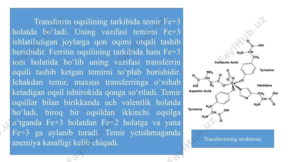 iga, u o‘z navbatida eritrotsit membranasidagi oqsillar, lipidlarni perekisli oksidlanishga uchratib, eritrotsitlarning gemoliziga sabab bo‘ladi. tibbiyot amaliyotida metgemoglobinreduktazani faolligini irsiy pasayishi natijasida vujudga keladigan oilaviy metgemoglobinemiya pentozofosfat yo‘lining birinchi fermenti glyukoza-6- fosfatdegidrogenazaning faolligini irsiy past bo‘lish holatlarida uchrab turadi. bunday odamlar oksidlovchilar ta’siriga ko‘proq sezgir bo‘ladilar. qon ivish omillari: hozirgi zamon tasavvuriga ko‘ra qon ivishida plazma, trombotsit va to‘qima komponentlari ishtirok etadi. ularni qon ivish omillari deb ataladi. qon plazmasi omillari : i omil (fibrinogen) – qon ivishda ishtirok etuvchi asosiy omil. glikoproteid, jigarda sintezlanadi, molekula massasi 330000, qon plazmasidagi konsentratsiyasi 2-4 g/l, molekulasi 3 juft o‘zaro o‘xshash bo‘lmagan peptid zanjiridan tarkib topgan bo‘lib, ular o‘zaro disulfid bog‘lari orqali bog‘langan. ii omil (protrombin) – qon ivishda ishtirok etuvchi asosiy omillaridan biri, trombin (ferment)ning o‘tmishdoshi, kimyoviy jihatdan glikoproteid, α2-globulinlar fraksiyasi tarkibiga mansub, jigarda sintezlanadi; 10-12 atom ca2+ bilan birikishi natijasida qonformatsiyasi o‘zgaradi. iii omil (to‘qima tromboplastini) – lipoprotein, to‘qima jarohatlanganda hosil …