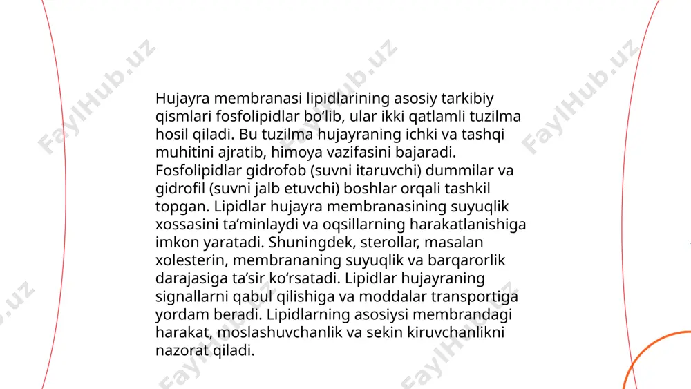g suyuqligini tartibga soladi, bu esa hujayra membranasining ichki va tashqi muhitga moslashuvchanligini saqlaydi. lipidlar shuningdek, hujayra ichidagi signal uzatish jarayonlarida ishtirok etadi. ular turli signal yo'llarini boshqaradi va hujayra faoliyatini muvozanatga keltiradi. lipidlar, shuningdek, membranadagi moddalar almashinuvini boshqarishda ishtirok etadi. ular hujayra ichidan tashqariga yoki tashqaridan ichkari tomon moddalar transportini amalga oshiradi. shu bilan birga, lipidlar hujayra membranasining qayta tashkil etilishi, plastinkalar hosil qilinishi va hujayra strukturasining barqarorligi uchun ham muhimdir. ular hujayra membranasining o‘zgarishlarga moslashuvchanligini va yangi strukturalarning hosil bo‘lishini ta'minlaydi. ... t.me/slaydai_bot 3 hujayra sitoplazmasidagi oqsillar hujayra sitoplazmasidagi oqsillar hujayraning normal ishlashi uchun muhim ahamiyatga ega. ular hujayraning tuzilishini va faoliyatini ta'minlaydi, turli xil funktsiyalarni bajaradi va hujayra ichidagi kimyoviy jarayonlarni boshqaradi. oqsillar ko'plab kimyoviy reaksiyalarni tezlashtiruvchi ferment sifatida faoliyat ko'rsatadi. ular hujayraning metabolik jarayonlarini, energiya ishlab chiqarish va moddalar almashinuvi kabi jarayonlarni boshqaradi. ba'zi oqsillar molekulalarni hujayra ichida yoki tashqarisida transport qilishda ishtirok etadi. sitoskeletdagi oqsillar …