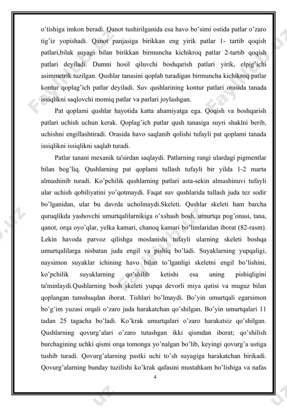 shilib, oyo’qlar uchun tayanch bo’ladigan murakkab dumg’azani hosil qiladi. kеyingi dum umurtqalari o’zaro qo’shilib, boshqaruv patlari uchun tayanch vazifasini bajaradigan quymich suyagini hosil qiladi. yelka kamari 3 juft suyaklardan iborat. qilichsimon egilgan kurak suyaklari umurtqa pog’onasi bo’ylab joylashgan. ingichka o’mrov suyaklarining pastki uchi o’zaro tutashib o’mrov ayrisini hosil qiladi. o’mrov ayrisi qanot suyaklarining mustahkamligini oshiradi va qanot qoqishda yuzaga kеladigan zarbani kamaytiradi.qushlar qanoti skеlеti ham boshqa bеsh barmoqli umurtqali hayvonlar oldingi oyo’qlariga o’xshash bitta yеlka, ikkita yеlka oldi (bilak va tirsak) va panja suyaklaridan iborat. lеkin qushlarda faqat uchta (2,3,4) barmoqlar bo’ladi; bir nеchta mayda panja suyaklari birlashib bitta mustahkam suyakni hosil qiladi. bu suyak qanotlardagi 1- tartib qoqish patlari uchun tayanch bo’ladi.chanoq kamari va orqa oyo’q skеlеtining tuzilishi qushlar yurganida tana massasining anna shu ikki oyo’qqa tushishi bilan bog’liq. chanoq kamari skеlеti bеl, dumg’aza va dum umurtqalari bilan harakatsiz qo’shilib kyetgan yonbosh quymich, va qov suyaklaridan iborat. chanoq suyaklarining …