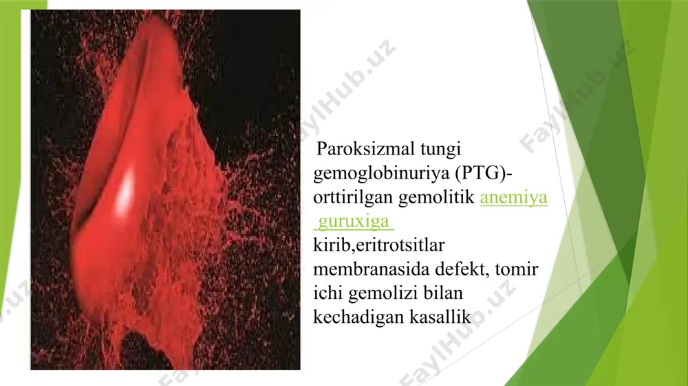 ologik atsidoz va gemoliznin kuchaytiruvchi properdin sistema aktivlanishi tufayli kelib chiqadi degan ayrim tahminlar mavjud. gemoglobinuriya x xromasida joylashgan pig-a genida mutatsiya paydo bo’lishi bilan bog’liq. tashxislash retikulositlar soni ko’tarilgan leykositlar pasaygan trombositlar pasaygan gemoliz oqibatida normoblastlar va polixromatofiliya nomoyon bo’ladi.eritrositlarni ko’rinishi o’zgarmagan bo’ladi.pansitopeniya kuzatilishi mumkin. sitopeniya retikulositoz bilan birga nomoyon bo’ladi.suyak ko’migida eritroid giperplaziyasi aniqlanadi shu bilan birga suyak ko’migi gipoplaziyasi kuzatiladi. siydik bilan temir yo’qotish oqibatida temir tanqisligi rivojlanishi xavfi oshadi shuning uchun eritrositlar temir tanqisligi kamqonligiga xos ko’rinishiga ega bo’lishadi ya’ni gipoxromiya va mikrositoz. qon zardobida billirubin bog’lanmagan gemoglobin va metgetoglobulin miqdiri ko’paygan.tomir ichi gemolizi belgilari ya’ni gaptoglobin pasayishi yoki yo’qligi normada 200-2000mkg/g bo’ladi. ldg ko’rsatkichini ko’tarilishi,siydikda bog’lanmagan gemaglobin va temir ko’tarilishi. gaptoglobin o’tkir faza reagent hisoblanadi; uning miqdori oshishi tomir ichi gemolizida kuzatiladi. siydik tahlilida gematuriya va protenuriya kuzatiladi kasalliklarning paroksizmal tungi gemaglobinuriya fenotipini aniqlash uchun xema-saxaroz probasi va monoklanal antetelalarini gpi-yaroqli proteinlarga sitometriya usuli bilan …