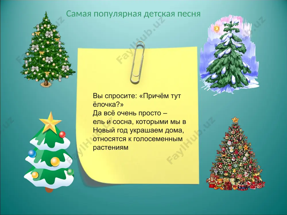 ва. в сухих сосновых лесах (борах) всегда светло. сравните эти фотографии. одинаковые ли растения на них изображены? это сосны в лесу. там они стоят высокие, стройные, как колонны. ветки на них остались только вблизи вершин, поэтому они пропускают много света. это сосны на открытых местах. там они раскидистые сосны неприхотливы. их можно встретить на песках, на болотах, в меловых горах и даже на голых скалах. сосна на болоте сосна на меловой горе сосна на песке у сосен, растущих на плотных почвах, главный корень хорошо развит и уходит глубоко. у сосен, растущих на песчаных почвах, кроме главного корня, близ поверхности почвы развиваются боковые корни. они расходятся далеко в стороны от ствола дерева. на болотистых почвах главный корень развит плохо. молодые веточки сосны несут мелкие чешуйчатые бурые листочки, в пазухах которых сидят очень короткие побеги. на каждом из этих побегов у сосны обыкновенной развиваются по два сизо – зелёных игловидных листа, т.е. …