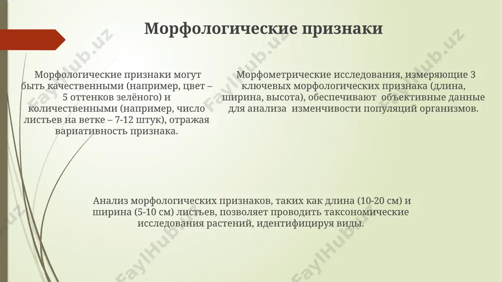морфология - Page 5