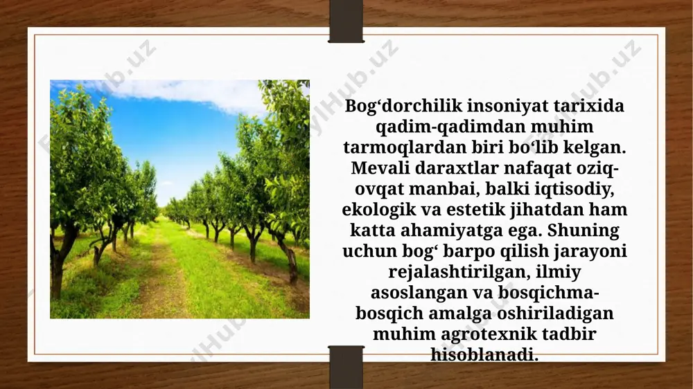 r saqlovchi chora-tadbirlar (qishloq joylarida) ko‘riladi. mulchalash (tuproqni qoplash): namlikni saqlab qolish va o‘t bosishdan saqlanish uchun. bog‘ barpo qilish bu uzoq muddatli va mas’uliyatli jarayon bo‘lib, u mevali daraxtlarning to‘g‘ri joylashuvi, sifatli nihol tanlash, tuproqni tayyorlash, sug‘orish va parvarish qilish kabi bir qancha bosqichlarni o‘z ichiga oladi. har bir bosqichda ilmiy yondashuv va tajriba asosida ish olib borilsa, kelajakda yuqori hosil olish imkoniyati ancha ortadi. shu sababli, bog‘ barpo qilishda agrotexnika qoidalariga qat’iy amal qilish, ekologik sharoitni inobatga olish va zamonaviy texnologiyalarni qo‘llash muhim hisoblanadi. bunday bog‘lar nafaqat iqtisodiy foyda keltiradi, balki atrof-muhitni obodonlashtirish, ekologik muvozanatni saqlashda ham katta ahamiyatga ega. bog‘ barpo qilish — bu puxta rejalashtirilgan, ilmiy asoslangan va uzoq muddatli mehnat talab qiladigan jarayon bo‘lib, u yer tanlashdan boshlab, nihol ekish, parvarishlash, sug‘orish va hosil olishgacha bo‘lgan barcha bosqichlarni o‘z ichiga oladi. har bir bosqichda qilingan ishlarning sifatli bajarilishi kelajakdagi daraxtlarning sog‘lom o‘sishi va barqaror hosildorligini …