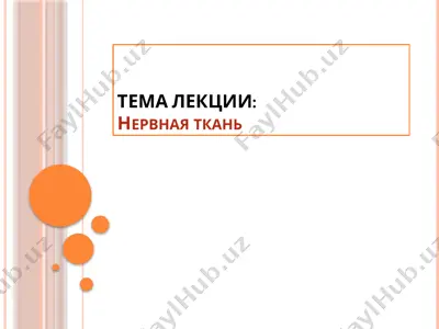 nerv tkan — PPTX