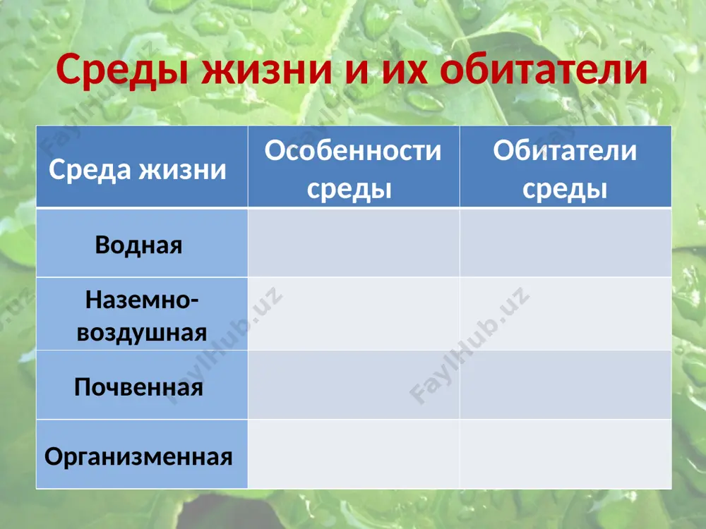 четыре среды жизни на земле - Page 3