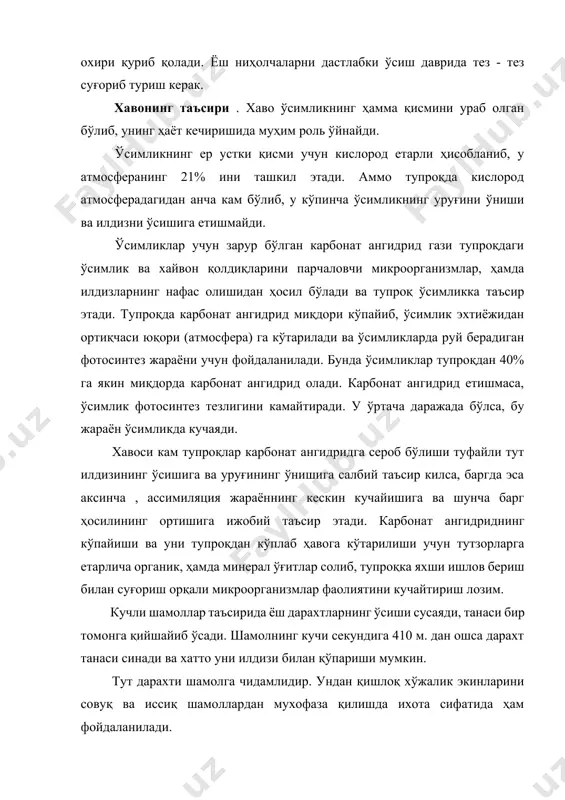 утчиликнинг асосий вазифаларидан бири кўчатларни муттасил кўпайтириб бориш асосида ипак қуртининг озиқ базасини тобора мустахкамлашдир. тут дарахтлари жинсий (уруғдан ) ва жинссиз (вегетатив пайвандлаш пархишлаш, қаламчасидан экиш) йули билан кўпайтирилади. тутни уруғдан кўпайтириш энг қадимий усуллардандир. уруғ сепиш техник жиҳатидан осон бўлиб, лекин кўп меҳнат ва маблағ сарфланади. тутни уруғидан кўпайтиришнинг ўзига хос камчиликлари бўлиб жумладан, тут дарахти асосан икки уйли бўлганлиги учун табиий ҳолатда айрим навдор ургочи гулли дарахтлар бошқа бир хасак тут чанги билан чангланганда, бундай уруғдан етиштирилган кўчатлар сифатсиз бўлади. бундан ташқари, уруғдан ўстирилган тутнинг вояга етиши учун кўп вақт талаб қилинади. уруғдан ўстирилган кўчатлардан ташкил қилинган бута шаклидаги тутзорлардан 3, 4 ва баланд танали тутзорларнинг баргидан ипак қурти боқиш учун 7 - 8 йили фойдаланиш мумкин. чунки бута тутзорга экиладиган ниҳол 1 йил ниҳолзорда ва 2 ёки 3 йил янги экилган жойда, баланд танали тутзорда ёки қаторлаб экилган жойда ўсиши зарур. бундан ташқари уруғидан ўстирилган тут …