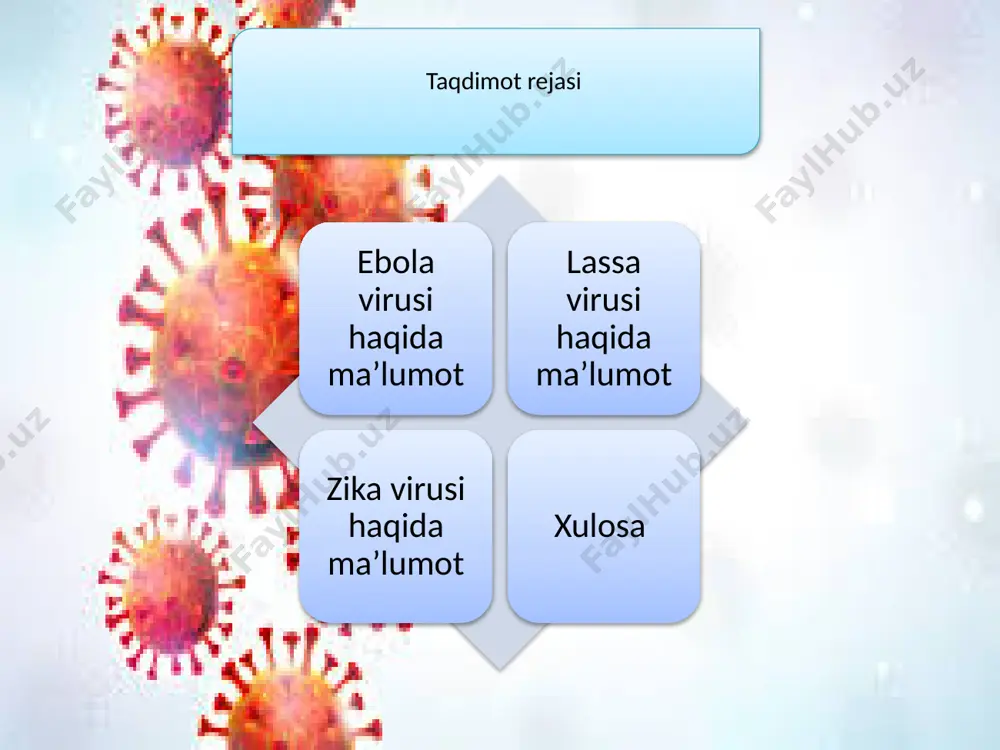 virusi pashshalar orqali yuqish jarayoni tasvirlangan zika virusi pashshalar orqali yuqadigan flavivirus bo‘lib, odamlarda zika isitmasi keltirib chiqarishi mumkin. virus asosan aedes chivinlari orqali yuqadi, ammo homiladorlik paytida jinsiy aloqa va onadan homilaga ham yuqishi mumkin. zika isitmasi odatda engil bo‘lib, isitma, toshma, bo‘g‘imlarda og‘riq va kon'yunktivit kabi alomatlar bilan birga keladi. kasallik patogenezi: kasallik patogenezi - zika virusi organizmdagi turli hujayra turlarini, jumladan teri hujayralarini, immun hujayralarini va platsenta hujayralarini zararlaydi. - virus qon-miya to‘sig‘ini kesib o‘tishi va asab progenitori hujayralarini yuqtirishi mumkin, bu esa chaqaloqlarda mikrosefaliya kabi nevrologik asoratlarni keltirib chiqaradi. - homilador ayollarda zika virusi tug‘ma nuqsonlar va homiladorlik asoratlarini keltirib chiqarishi mumkin. laboratoriya diagnostikasi laboratoriya diagnostikasi -zika virusi infektsiyasining laboratoriya diagnostikasi rt-pcr yordamida qon yoki boshqa tana suyuqliklarida virusli rnkni aniqlashni o‘z ichiga oladi. - elishay kabi serologik testlar bemor namunalarida zika virusiga qarshi antikorlarni aniqlashi mumkin. - zika virusi infektsiyasiga shubha qilingan homilador ayollarda amniotik …