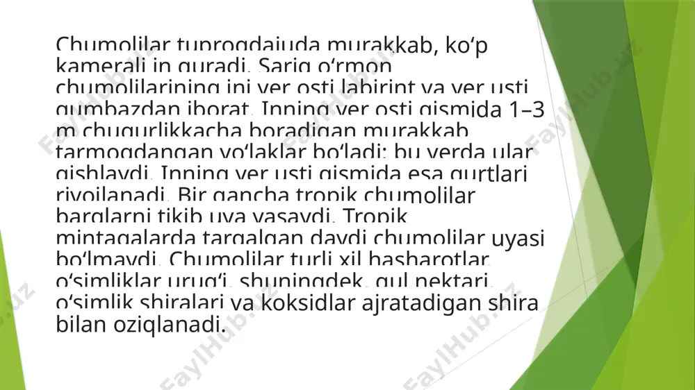 soblanadi. chumolilar chiqindi mahsulotlar hisobiga tuproqning gumus qatlamini yaxshilaydi. tuproq bakteriyalarini oziqlantiradi va tuproqni ozuqa moddalari bilan ta’minlaydi. bu elementlar organik moddalarni qayta ishlovchi tuproq bakteriyalari uchun oziq-ovqat hisoblanadi. chumolilar asal (sut) shira bilan oziqlanishi aniqlangan. bu maqsadlar uchun ular o‘simlikka zarar etkazadigan aphid koloniyalarini ko‘paytiradilar. ular yerdagi begona o‘tlarning tashuvchisidir. bundan tashqari, ular shirin mevalar va rezavorlarni yaxshi ko‘radilar va ularni uyasida yeyishadi. bu mahsulot sifatiga va uning hosildorligiga salbiy ta’sir qiladi. shuningdek, ular shirin gul kurtaklari bilan ham oziqlanadilar. bu esa, o‘simlikning to‘liq quvvat bilan gullashiga to‘sqinlik qiladi. e'tiboringiz uchun rahmat!!! image1.jpeg image2.jpeg image3.jpeg image4.jpeg image5.jpeg image6.jpeg image7.jpeg image8.jpeg image9.jpeg image10.jpeg image11.jpeg image12.jpeg image13.jpeg image14.jpeg /docprops/thumbnail.jpeg