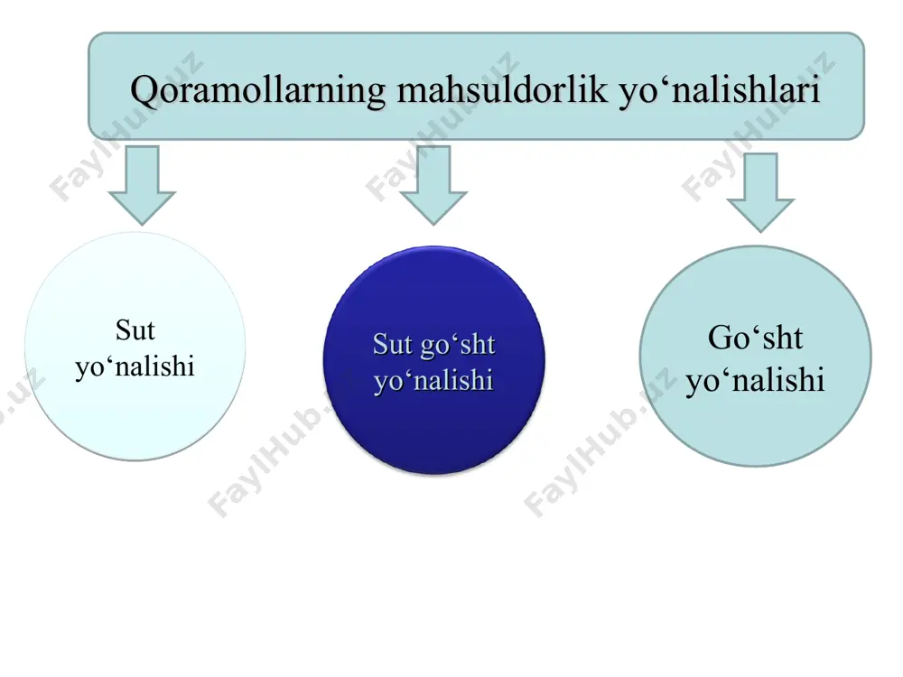 publikada andijon, farg‘ona, namangan, jizzax viloyatlarida mahalliy mollar zotini yaxshilashda shvits zotidan foydalanilgan. shvits zotli qoramollar go‘sht – sut yo‘nalishida, tusi qo‘ng‘ir. shvits zoti buzoqlarning tug‘ilgandagi vazni 30-35 kg; sigirlarning o‘rtacha tirik vazni 500-550 kg; buqalarning o‘rtacha tirik vazni 900-950 kg; bir laktatsiyadagi sut mahsuldorligi o‘rtacha 3000-4000 kg; sutining o‘rtacha yog‘liligi 3,7-3,8 %; buqalari go‘sht uchun jadal o‘stirilganda kunlik semirishi 750-1000 g; so‘yim chiqimi 55-60 %. mahsuldorlik ko‘rsatkichlari. aberdin – angus zoti. aberdin – angus zoti qoramollar shotlandiyaning aberdin va angus grafliklarida yaratilgan. go‘shtdor zotli qoramollar ichida eng tez yetiluvchan va eng yuqori sifatli go‘sht beradigan hisoblanadi. tusi qora, to‘qol. buzoqlarning tug‘ilgandagi vazni 24-27 kg; 8 oyligidagi vazni 190-210 kg (sutdan chiqqanda); sigirlarning o‘rtacha tirik vazni 500-550 kg; buqalarning o‘rtacha tirik vazni 800-900 kg; 15-16 oyligida buqachalarni vazni 450-465 kg; so‘yim chiqimi 65-70 %; bir laktatsiyadagi sut mahsuldorligi o‘rtacha 1500-2000 kg; sutining o‘rtacha yog‘liligi 3,8-4,0 %; qashqadaryo va surxondaryo viloyatlarida …