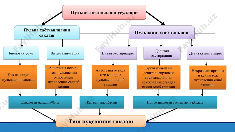 овитель) – 4% гидрохинон эритмаси, 30% нашатыр спирти, 10% формалин илдиз каналининг эндодонтик давоси самараси каналга тўғри йўналишни шакллантиришга боғлиқ! йўналиш қуйидаги талабларга жавоб бериши керак: пульпа шохи топографиясига мос локализацияси; пульпа камераси топографиясига мос шакли; тўғри ўлчамга эга бўлиши; апроксимал нуқсонларни тикланганлиги; пульпа камераси томини тўлиқ олиб ташланганлиги; пульпа камераси тубини жарохатланмаганлиги; деворларни силлиқлиги. канал кириш тешигига (устья) тўғри чизиқ бўйлаб киришни таъминловчи нуқта-ориентирлар: 1. тиш дўмбоғи; 2. пульпа шохи; 3. канал устьесидаги (кириш тешиги) торайиш; 4. апекс ёки каналнинг қийшайган нуқтаси. каналга тўғри чизиқли кириш вужудга келди асбобни илдиз чўққисигача (апекс) тўғри чизиқ бўйлаб кириши, илдиз каналига йўналишни хосил қилишни асосий принципи бўлиб хисобланади. бўйин олди соха бўйлаб пастки ва юқори жағ тишларининг горизонтал кесиги. пульпа девитализацияси (1) а – кариоз кавакни кисман чархлаш ва аппликацион огриксизлантириш пульпа девитализацияси (1) б – тиш бушлигини очиш ва кариоз кавакни ювиш пульпа девитализацияси (1) в – бушликни куритиш ва девитализацияловчи …