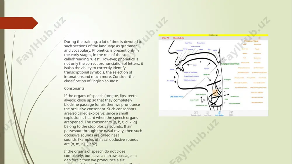 phonetic features of the ancient period of the studied language - Page 4