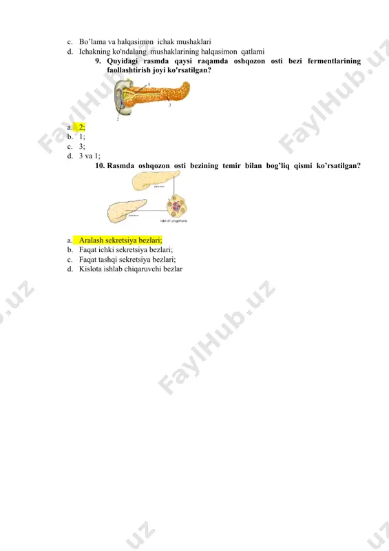 mushak qatlamlari - Page 3