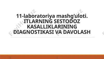 exinokokkoz (echinococcosis) — PPTX