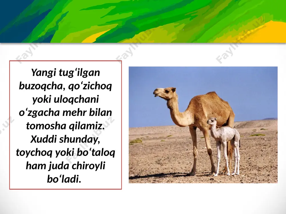 vval uning ko‘rinishini aniq tasavvur qilish uchun qalam bilan qog‘ozga qoralama ishlab olasiz. unda tuyaning tana qismlarining o‘zaro nisbatlarini aniqlashtirib, so‘ng ularga mos tarzda plastilindan bo‘lakchalar tayyorlab, uning eng katta qismi – tanasi, boshi, oyoqlari, o‘rkachi va dumini alohida-alohida ishlab, so‘ng ularni birlashtirib chiqasiz. o‘z kompozitsiyangizni ishlashda 68-rasmdagi «ohucha» nomli plastilindan ishlangan haykalchadan ijodiy foydalani shingiz mumkin. image2.png image3.jpeg image4.jpeg image5.jpeg image6.jpeg image7.jpeg image8.jpeg image9.jpeg image10.jpeg image11.jpeg image12.jpeg image13.jpeg image14.jpeg image15.jpeg image16.jpeg image17.jpeg image18.png image19.jpeg image20.jpeg image21.jpg image22.png image23.png image24.png image25.jpg image1.png