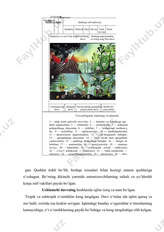 ligi, tashqi qiyofasi ko‘p jihatdan hozirgi zamon florasiga yaqinlashgan. yirtqich, o‘txo‘r sudralib yuruvchilar tanas i kattalashgan. ularning ustki qismi qalqonlar bilan himoy alan gan. qushlar tishli bo‘lib, boshqa xossalari bilan hozirgi zamon qushlariga o‘xshagan. bo‘rning ikkinchi yarmida sutemizuvchilarning xaltali va yo‘ldoshli kenja sinf vakillari paydo bo‘lgan.okeanquruqlik davrlar eralar million yil hisobida arxey proterozoy kembriy ordovik silur devon perm tosh- ko‘mir bakteriya va suvo‘tlar davri psilofitlar davri qadimgi paporotniklar va ochiq urug‘lilar davri umurtqasizlar davri baliqlar davri suvda hamda quruqlikda yashovchilar davri qirilib ket yuruvchilar 75- rasm. organik olamning rivojlanishi. 1 — ohak hosil qiluvchi suvo‘tlar; 2 — bulutlar va korallarga qar - dosh organizmlar; 3 — trilobitlar; 4 — molluskalar; 5 — bahaybat qishqichbaqa chayonlar; 6 — zirhlilar; 7 — boshoyoqli mollusk a - lar; 8 — psilofitlar; 9 — sigillyariyalar; 10 — lepidodendronlar; 11 — daraxtsimon paporotniklar; 12 — cho‘tkaqanotli baliqlar; 13 — quruqlikdagi chayonlar; 14 — yirik suvda …