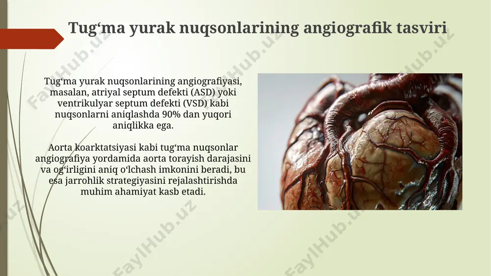 yurakning rivojlanish nuqsonlari - Page 3
