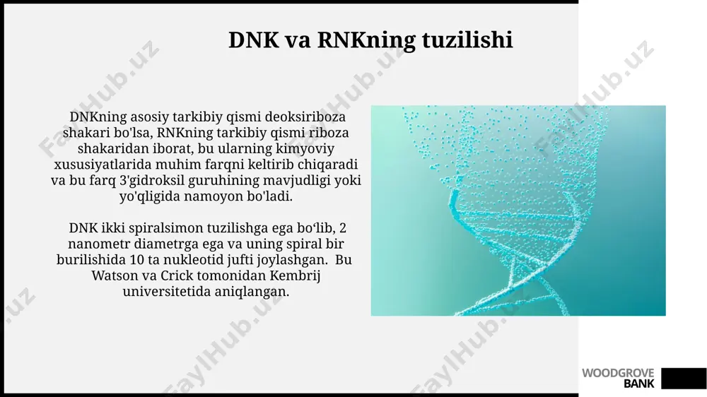 dnk va rnk - Page 3