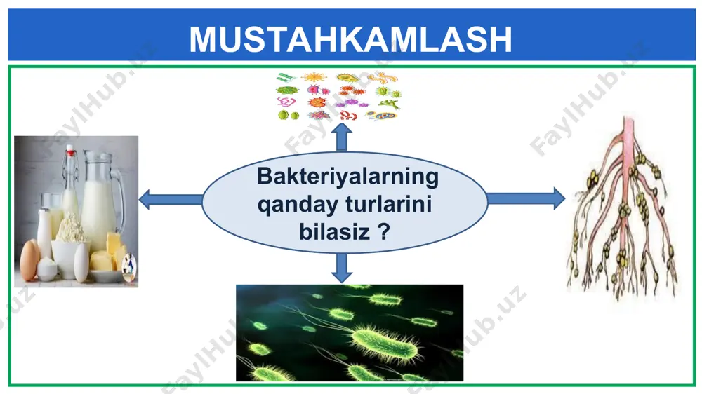 lar dunyosi oq qo‘ziqorin zamburug‘lar dunyosi ularni taom tayyorlashdan oldin 5 - 7 daqiqa qaynatib, suvni to‘kib yuborish kerak. zamburug‘lar dunyosi zaharli turlariga qizil muxomor, sariq soxta qo‘ziqorinlar kiradi. ularni iste’mol qilgan odam zaharlanishi mumkin. zamburug‘lar dunyosi parazit zamburug‘larga vertitsillium zamburug‘iar kiradi. zamburug‘lar dunyosi parazit zamburug‘larga qorakuya zamburug‘i kiradi. zamburug‘lar dunyosi parazit zamburug‘larga zang zamburug‘i kiradi. zamburug‘lar dunyosi agar parazit zamburug‘larga qarshi o‘z vaqtida kurash olib borilmasa, tez tarqalib, o‘simliklarni nobud qiladi. zamburug‘lar dunyosi bakteriyalarda bo‘lgani kabi zamburug‘larning ham foydali va zararli turlari mavjud. eng chiroyli zamburug‘lar eng chiroyli zamburug‘lar zamburug‘lar ichida 71 turining o‘zidan tunda turli rangda yog‘du chiqara olish xususiyati mavjudligi aniqlangan. nur taratuvchi zamburug‘lar noyob zamburug‘lar bilasizmi? oregon qo‘ziqorini – dunyodagi eng katta tirik organizm. mustahkamlash zamburug‘ bakteriya 1. darslikning 30- 34 sahifasidagi “zamburug‘lar dunyosi” mavzusini o‘qish. 2. mavzuga doir zamburug‘larni rasmlarini chizish. mustaqil bajarish uchun topshiriqlar: e’tiboringiz uchun rahmat!