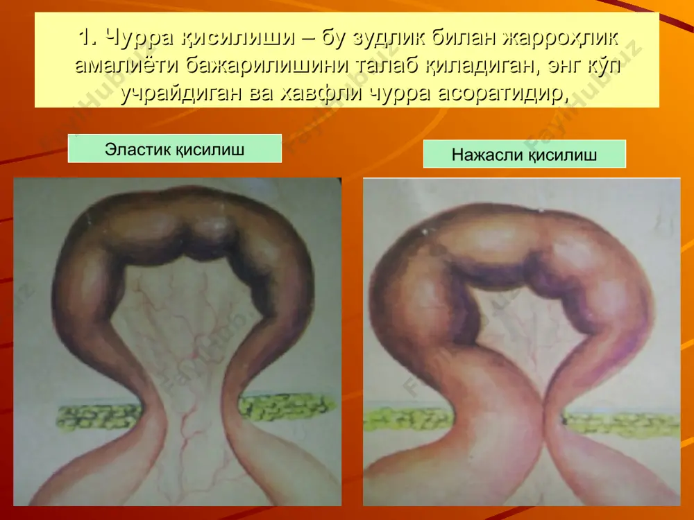 чурра асоратлари - Page 3