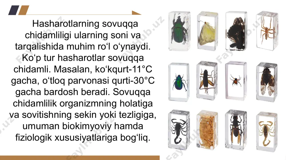 hasharotlar hayotida abiotik omillar - Page 5