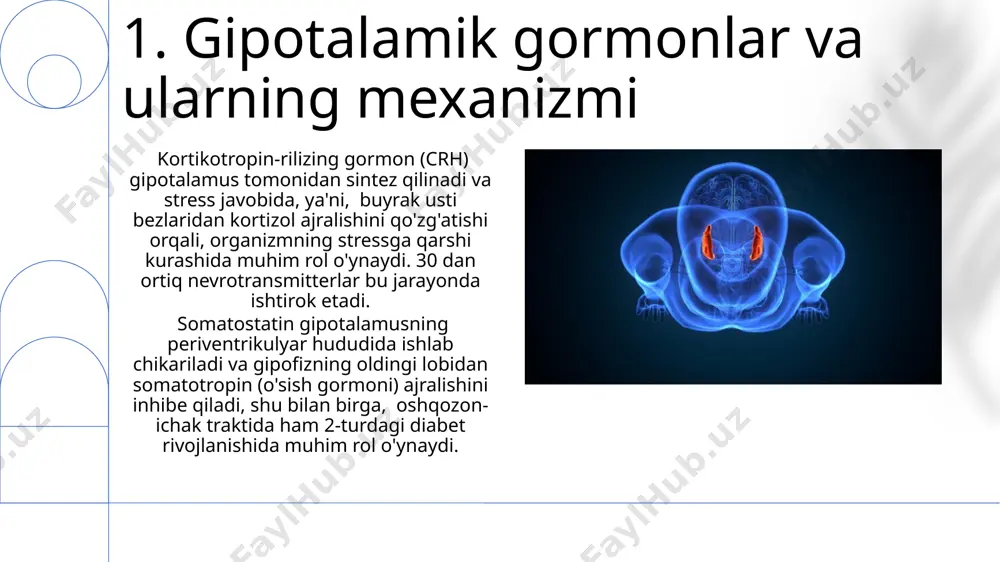 on (crh) va uning roli crhning asosiy vazifasi adenohipofizni stimulyatsiya qilib, adrenokortikotrop gormon (acth) ning qon oqimiga chiqarilishini 2-3 baravar oshirishdir. kortikotropin-reliz-gormon (crh) miya gipothalamusida ishlab chiqariladi va 41 aminokislotadan tashkil topgan peptid gormon hisoblanadi. 9. tireotropin-reliz-gormon (trh) va uning ahamiyati trhning etishmasligi yoki ortiqcha bo'lishi, masalan, 20 yoshdan keyin, qalqonsimon bez kasalliklariga, jumladan, gipotiroidizm va gipertiroidizmga olib kelishi mumkin. trh, gipotalamusda ishlab chiqariladi va qon oqimi orqali gipofiz beziga 3-5 soniya ichida yetib boradi, bu tezkor javobni ta'minlaydi. 10. prolaktin-reliz-gormon (prh) va prolaktin inhibitiv faktori prolaktinni chiqarish gormonini (prh) gipotalamusning paraventrikulyar yadrolari 30 dan ortiq peptidlar aralashmasi sifatida ishlab chiqaradi va bu gormon sut bezlarida prolaktin sintezini 2-3 barobar oshirishi mumkin. 1970-yillarda aqsh olimlari tomonidan o'tkazilgan tadqiqotlar prh va pifning prolaktin sekretsiyasini tartibga solishda bir-biriga qarama-qarshi ta'sirini tasdiqladi va bu mexanizmning buzilishi turli endokrin kasalliklariga, jumladan, giperprolaktinemiyaga olib kelishi mumkinligini aniqladi. 11.gipotalamik-gipofizar o'qining regulyatsiyasi gipotalamusning supraxizmatik yadrosi suv muvozanatini …