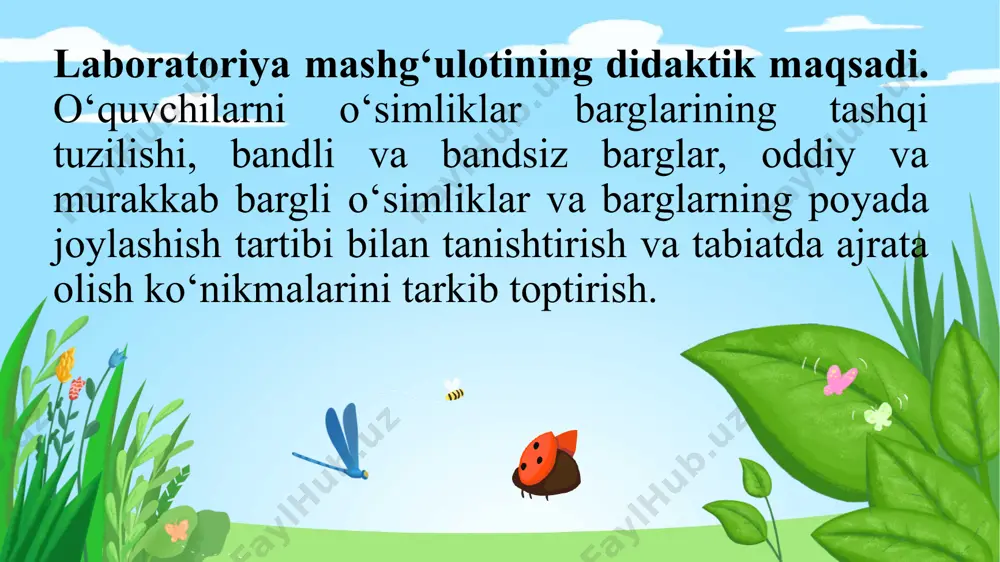 laboratoriya mashg‘uloti "bargning tashqi tuzilishini o‘rganish" - Page 3
