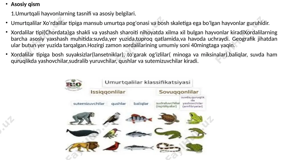 sh nuqtalari asosida ko‘rsatuvchi sxema. molekulyar filogeniya – dnk, rnk va oqsil ketma-ketligi asosida evolyutsion qarindoshlikni aniqlovchi tahlil usuli. homolog organlar – kelib chiqishi bir xil, ammo funksiyasi turlicha bo‘lgan organlar. analog organlar – kelib chiqishi har xil, ammo funksiyasi o‘xshash bo‘lgan organlar. adaptatsiya – organizmning muhitga moslashishi. foydalanilgan adabiyotlar roʻyxati 1. jumayev j., mamaraqulov sh. umurtqali hayvonlar zoologiyasi. – toshkent: o‘qituvchi, 2008. – 320 bet. 2. berdiev a.a., tojiboyev k., rahimov a. zoologiya (umurtqali hayvonlar). – toshkent: fan va texnologiya, 2012. – 296 bet. 3. karimov sh. umurtqali hayvonlar morfologiyasi va evolyutsiyasi. – toshkent: iqtisod-moliya, 2015. – 248 bet. 4. g‘ulomov u. hayvonlar sistematikasi. – toshkent: o‘zbekiston milliy ensiklopediyasi, 2007. – 276 bet. 5. avezov sh. umumiy zoologiya. – toshkent: oliy ta’lim, 2010. – 310 bet. 6. islomov n., axmedov a. biologik evolyutsiya asoslari. – toshkent: fan, 2006. – 215 bet. 7. qodirov a. zoologiya va filogeniya asoslari. – …