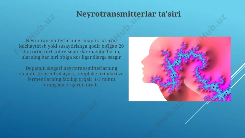 sinapslarni turli moddalarga sezgirligi - Page 3