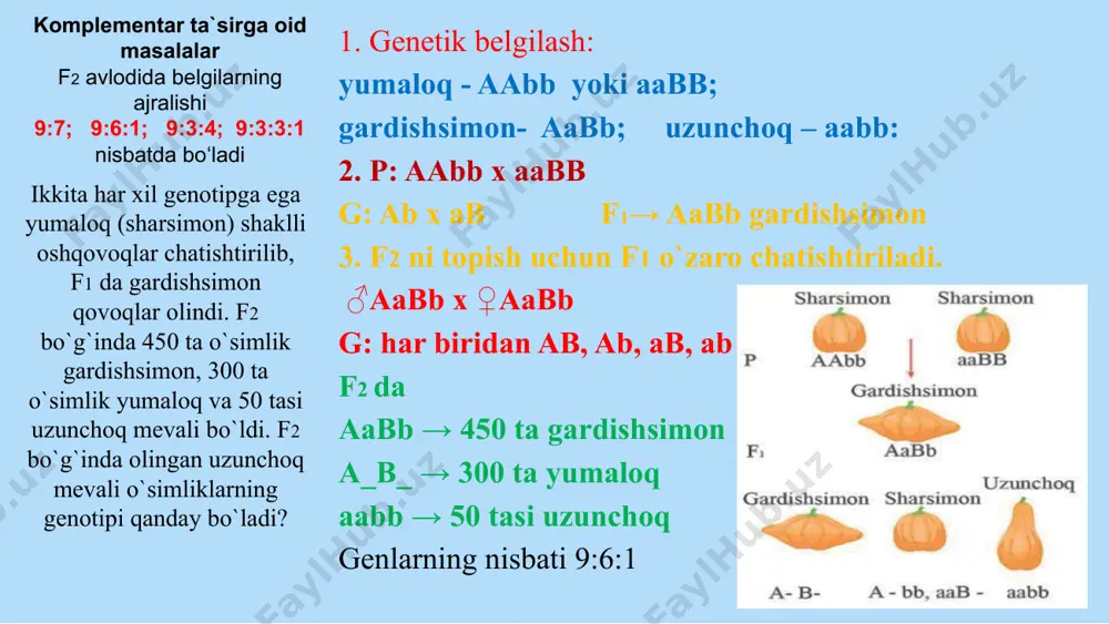 -sinflar uchun darslik. t:. 2018 y. a.g`afurov va boshqalar “biologiya” 10-sinflar uchun darslik. t:.2017 yil. b.sheraliyev “biologiya va genetikadan masalalar” t:. akademnashr 2018 y. dtm test savollari to`plam.i 1996-2019 yillardagi nashrlari image1.png image2.png image3.png image4.png image5.emf image6.png media1.wmv image7.png image8.png image9.emf /docprops/thumbnail.jpeg