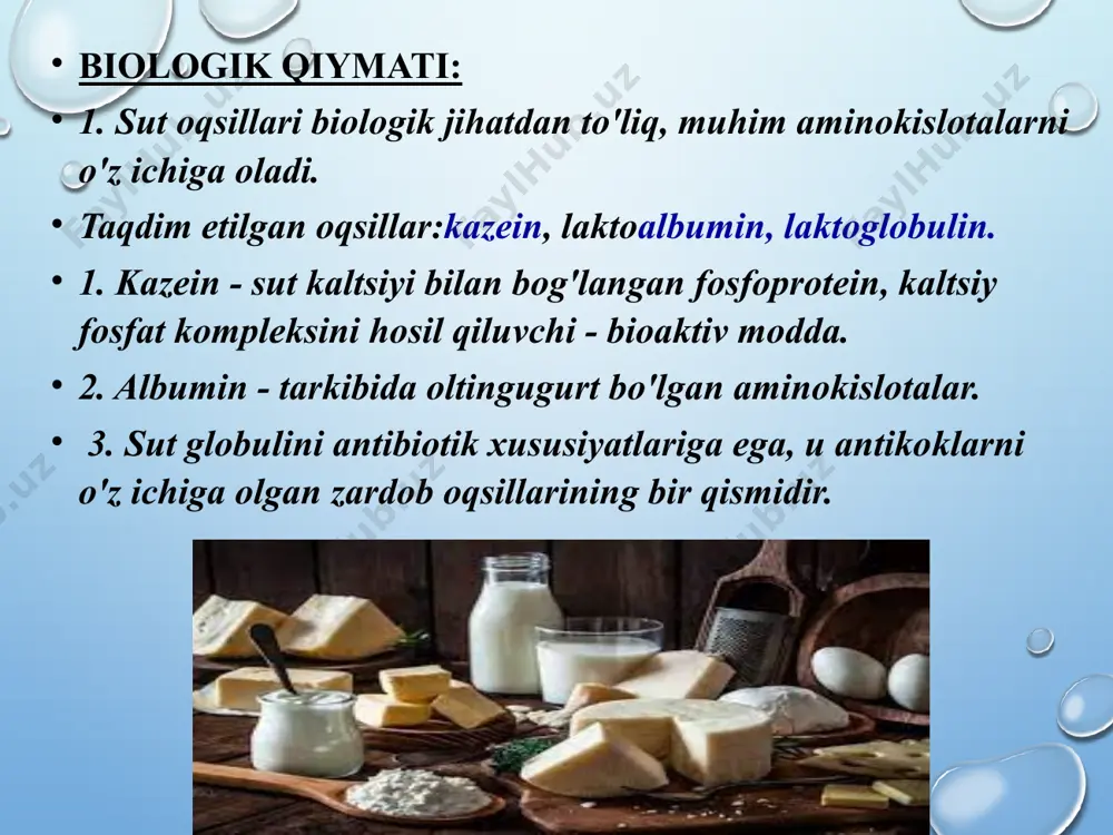 ilib turadi. sigir yelini 20l gacha sut saqlashi mumkin. bu sutning 90% miqdori alveola va kichik sut sut kanallarida saqlansa,10%li esa katta sut kanallari va sisternada bo‘ladi. sutning hosil bo‘lishi va sut tarkibidagi moddalarning sintezi hayvon organizmida kechadigan fizalogik jarayonlarga bog‘liq. sutning asosiy fizik-kimyoviy xossalari sutning kislotalagi undagi tuz,oqsil,uglekislatalar,limon kislatasi va boshqalarga bog‘liq bo‘ladi.sutda sut kislatasi sut bakteriyalari ta‘sirida sut qandining bijg‘ishi natijasida to‘planadi.kislotalilik terner gradusi (t) bilan belgilanadi va 100 sm3 sutni neytrallashda sarflangan ishqor 0,1 normali eritmasining sm3 soni bilan aniqlanadi.kislataliligiga qarab sutning yangiligiga baho beriladi.yangi sog‘ilgan sutning kislataligi 16-18˚t ni tashkil etadi. sut zichligi-sut sifatini tasniflovchi asosiy ko‘rsatgichlardan biri hisoblanadi.u bir xil hajmda suv massasidan sut massasining qancha miqdorda ko‘pligini ko‘rsatadi.sutning nisbiy zichligi 1,027-1,032 oralig‘ida bo‘ladi.sut zichligi sut tarkibidagi quruq moddalar (yog‘,qand,oqsil) miqdoriga bog‘liq. sutning qaynash harorati-suvga nisbatab sal yuqori-100,2˚c ga teng. isitish haroratuga qarab sutning fizik va biologik holati o‘zgaradi.ya‘ni, sut 50-60˚c haroratgacha isitilganda,uning ustki qismida,asosan …