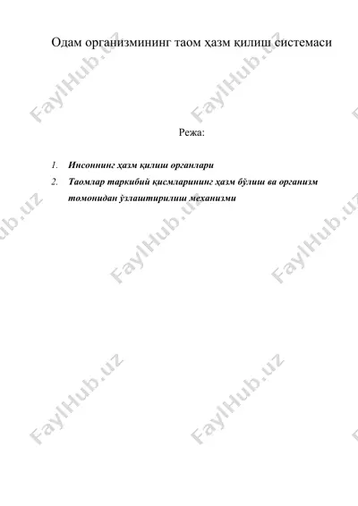 одам организмининг таом ҳазм қилиш системаси — DOC
