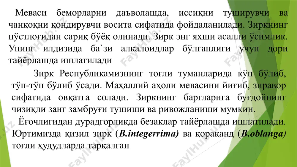 zirk (berberis iritegerrima bge.) - Page 5