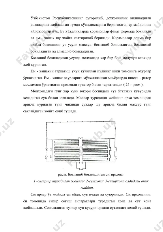 ос саклайдиган махсус чухурлар, ем - хашак тайёрлайдиган цсх омухга ем учун омбор, асбоб - ускуналар учун айьон, чорвадорлар уйи, коровулхона, дезинфекция тўсиги, ўт ўчириш асбобларн. ховуз, ветеринария пункти, молларни дорилайдшан ховуз, гунг чикарадиган бетондан ишланган арикчалар, гунг сакланадигаи жой вахоказолар. мажмуа майдони, ишларнинг бажарилиш тартибига, рельефига, шамол йўналишига нисбатан тўрт минтакага бўлинади. биринчи минтакага рельефнинг юкори томонига ва у жойига коровулхона, чорвадорлар уйи. ховуз, асбоб - ускуиалар айвони жойлаштирилади. иккинчи минтякага дакал хашак гарамлари,силос саклайдиган жойлар ва молга бсриладиган лавлаги, ковок ва хоказолар жойлаштирилади. ем - хашакларнинг жойлаштириш усуллари расмда кўрсатилган. расм. ем - хашакларпинг жойжаштириш усуллари. 1- ем-хашаклар; 2 - иолхошишр; 3- еи - хашак бериш йўли; 4 - гунг чикарии* йўли; 5 - гунгхона. богланмай бокиладиган усулда моллар умуман богланмайди, бўш юради. ем - хашакларнинг сигирхонадаги ва очик майдондаги охурлардан ўзлари бориб ейди. охурлар хар бир бош молгао,4 - 0,5 м меъёрида курилади. согиладиган, бугоз ва кисир …